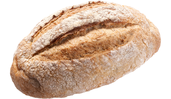PLAIN SOURDOUGH